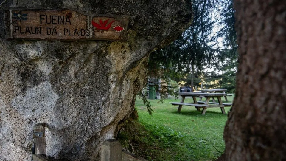 Plaun da Plaids
